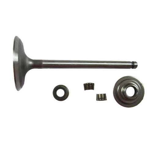 Genuine OEM Briggs & Stratton Intake Valve 791935